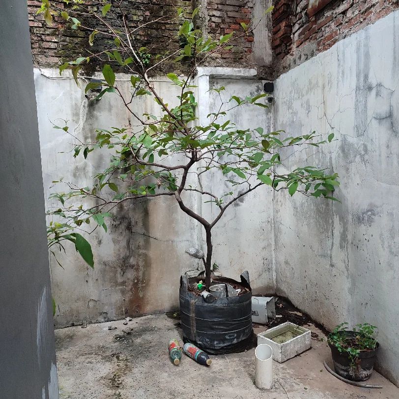 Bengkel Bubut, Palmerah Utara Palmerah, Jakarta Barat, DKI Jakarta