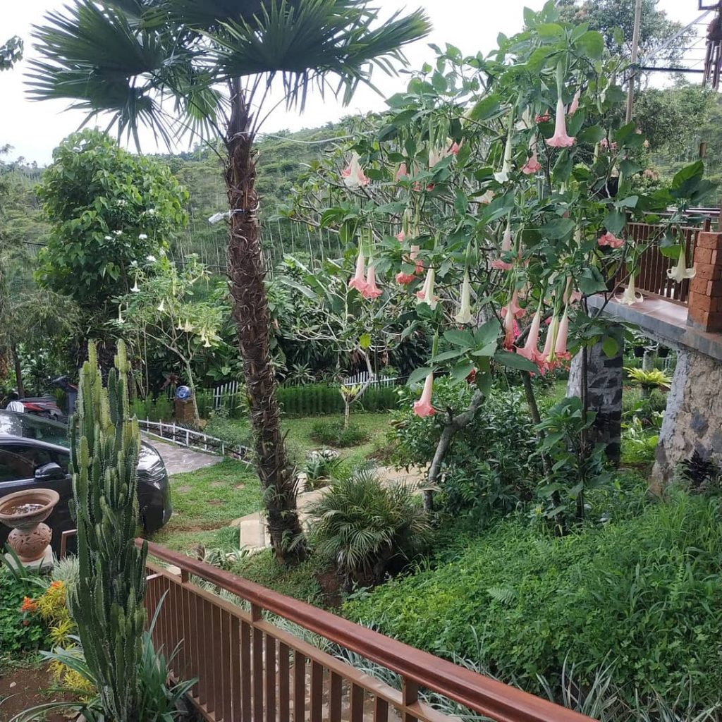 Instalasi CCTV @ Villa Cijeruk, Bogor, Jawa Barat